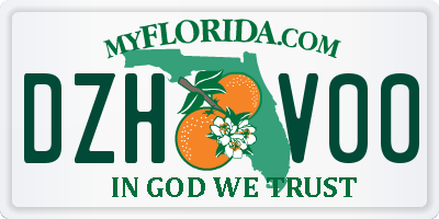 FL license plate DZHV00