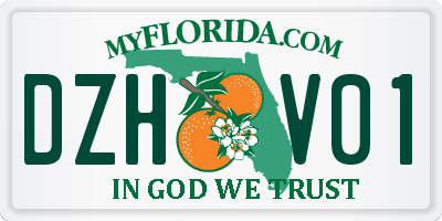 FL license plate DZHV01