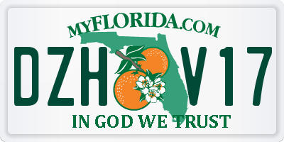 FL license plate DZHV17