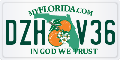 FL license plate DZHV36