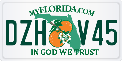 FL license plate DZHV45