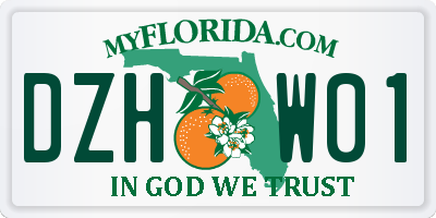 FL license plate DZHW01