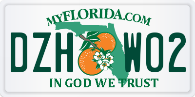 FL license plate DZHW02