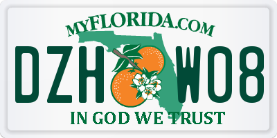 FL license plate DZHW08