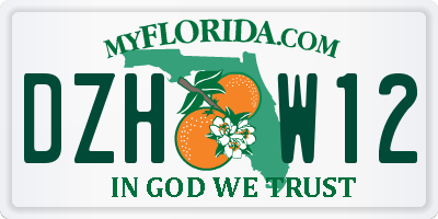 FL license plate DZHW12
