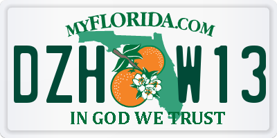 FL license plate DZHW13