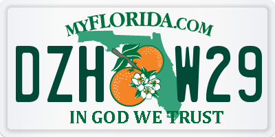 FL license plate DZHW29