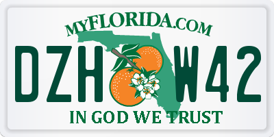 FL license plate DZHW42