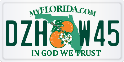 FL license plate DZHW45
