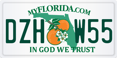 FL license plate DZHW55