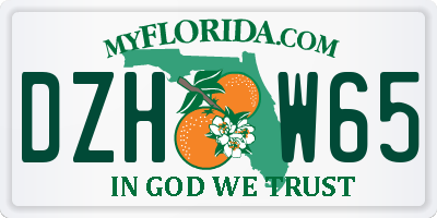 FL license plate DZHW65