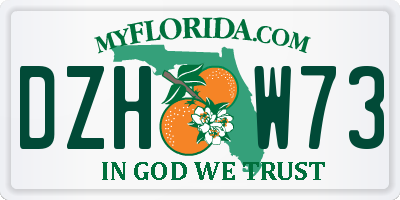 FL license plate DZHW73
