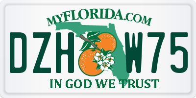 FL license plate DZHW75