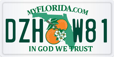 FL license plate DZHW81