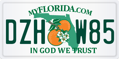 FL license plate DZHW85
