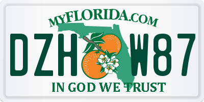 FL license plate DZHW87