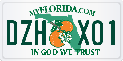 FL license plate DZHX01