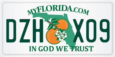 FL license plate DZHX09