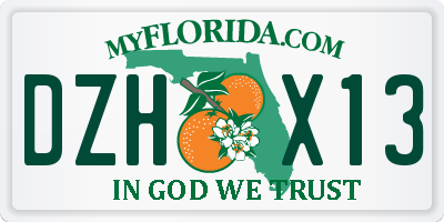 FL license plate DZHX13