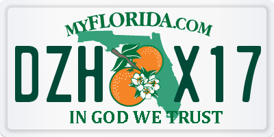 FL license plate DZHX17