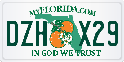FL license plate DZHX29