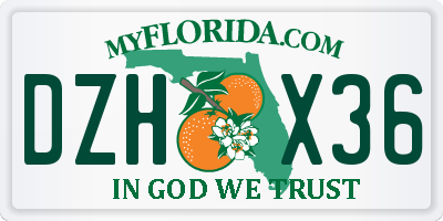 FL license plate DZHX36