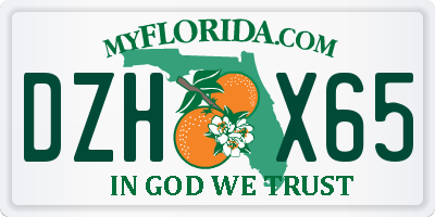 FL license plate DZHX65