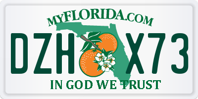FL license plate DZHX73