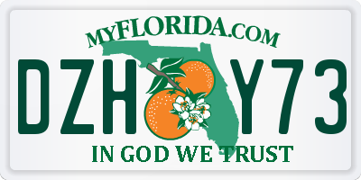 FL license plate DZHY73