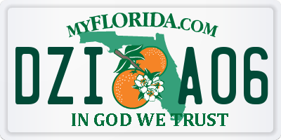 FL license plate DZIA06