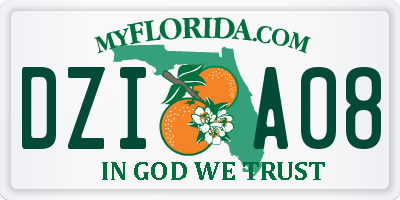 FL license plate DZIA08