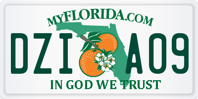 FL license plate DZIA09