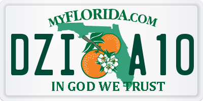 FL license plate DZIA10