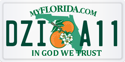 FL license plate DZIA11