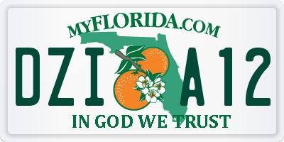 FL license plate DZIA12
