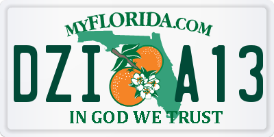 FL license plate DZIA13