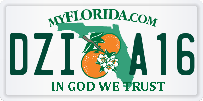 FL license plate DZIA16