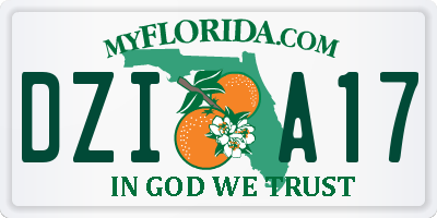 FL license plate DZIA17
