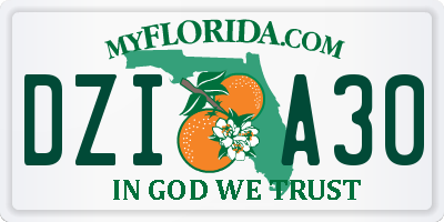FL license plate DZIA30