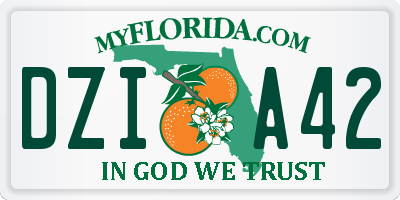 FL license plate DZIA42