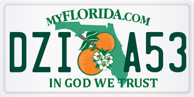 FL license plate DZIA53