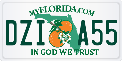 FL license plate DZIA55