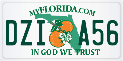 FL license plate DZIA56