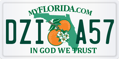 FL license plate DZIA57