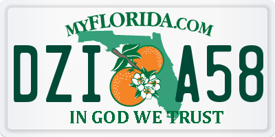 FL license plate DZIA58