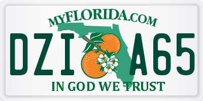 FL license plate DZIA65