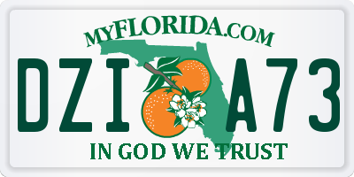 FL license plate DZIA73