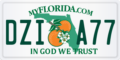 FL license plate DZIA77