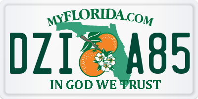FL license plate DZIA85