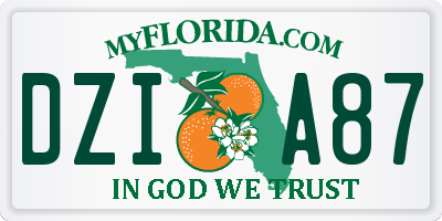 FL license plate DZIA87
